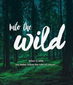 Into The Wild